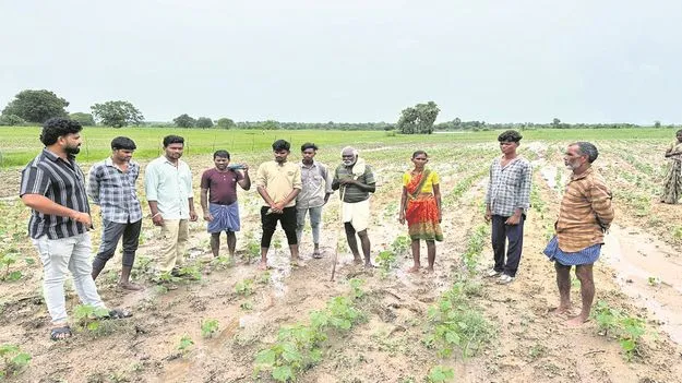 kumaram bheem asifabad- స్వల్పకాల పంటలు.. దిగుబడి ఎంచక్కా..