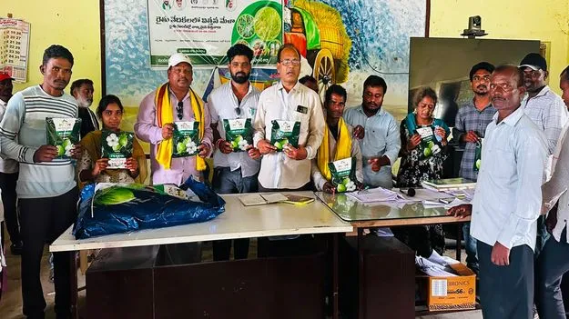 kumaram bheem asifabad- అధిక సాంద్రత పద్ధతి పత్తి సాగుతో ప్రయోజనం 