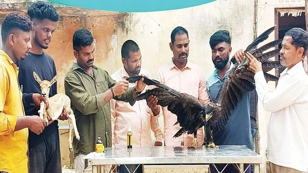 వన్యప్రాణుల దాహం తీరేదెలా?