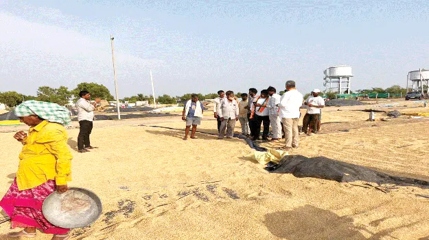 ధాన్యం పూర్తిగా కొనుగోలు చేయాలి 