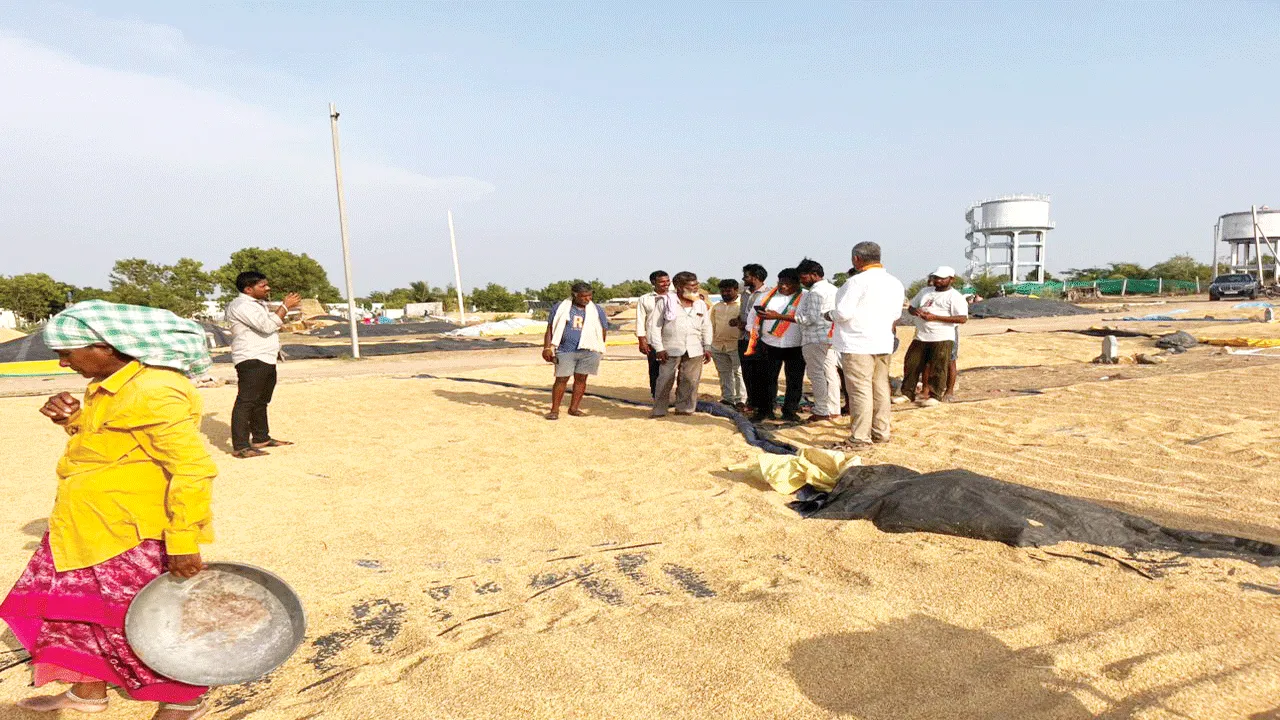 ధాన్యం పూర్తిగా కొనుగోలు చేయాలి