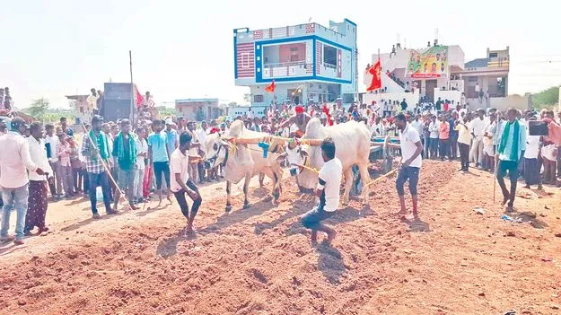  హోరాహోరీగా గిరకబండ్ల లాగుడు పోటీలు