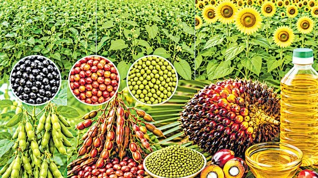 ప్రత్యామ్నాయ పంటలకు బోనస్‌?