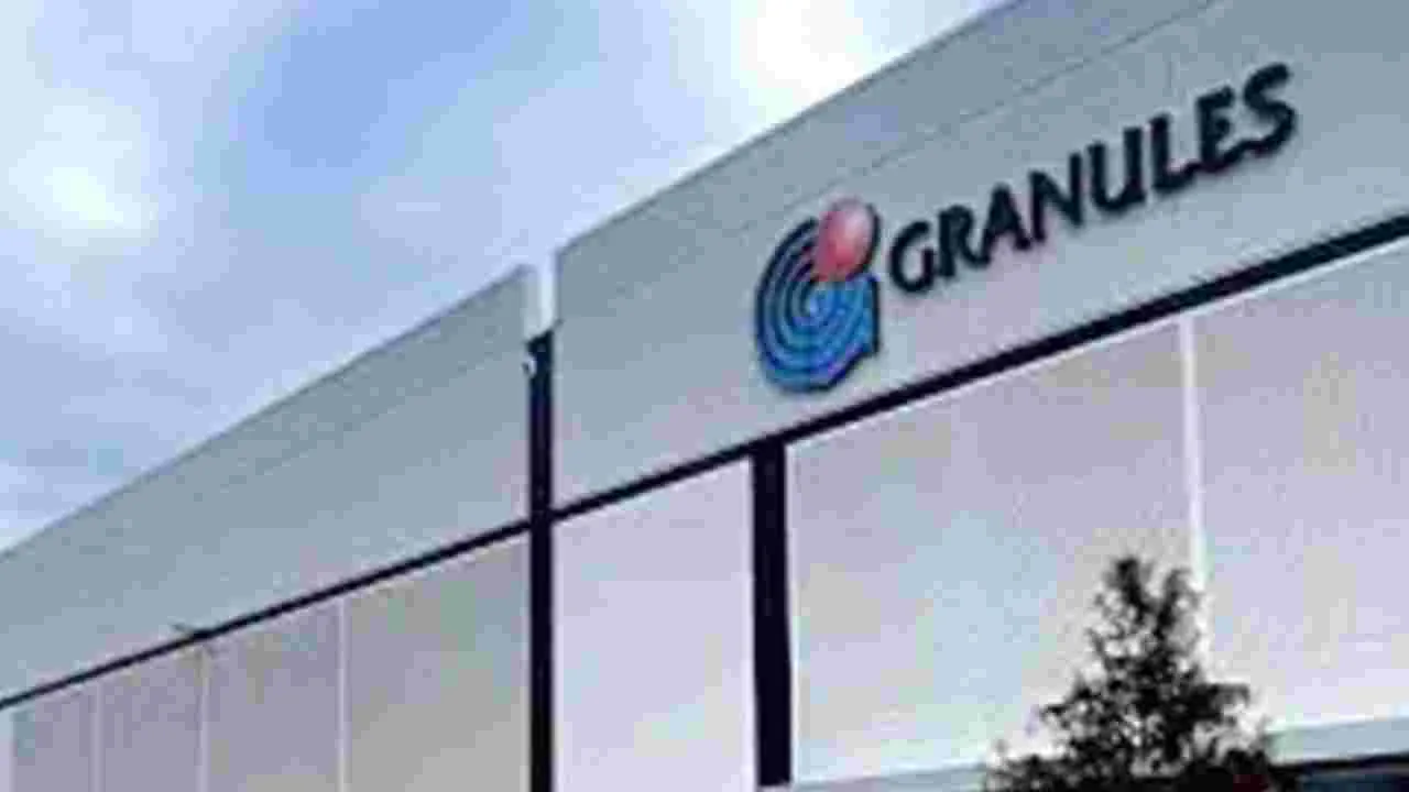 గ్రాన్యూల్స్‌ లాభం రూ.202 కోట్లు