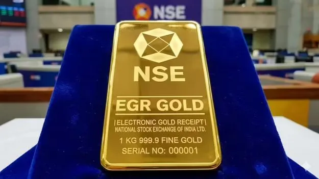 ఎన్‌ఎస్ఈలో ఈజీఆర్‌ ట్రేడింగ్‌ షురూ