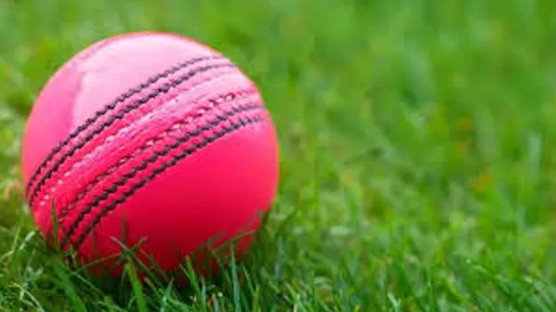 డే టెస్టుల్లోనూ పింక్‌ బాల్‌