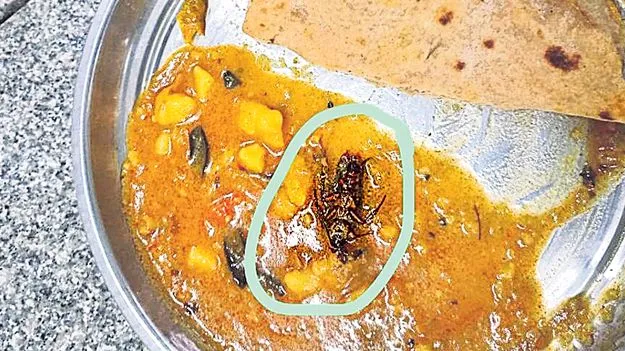 బాసర ట్రిపుల్‌ ఐటీ అల్పాహారంలో బొద్దింక
