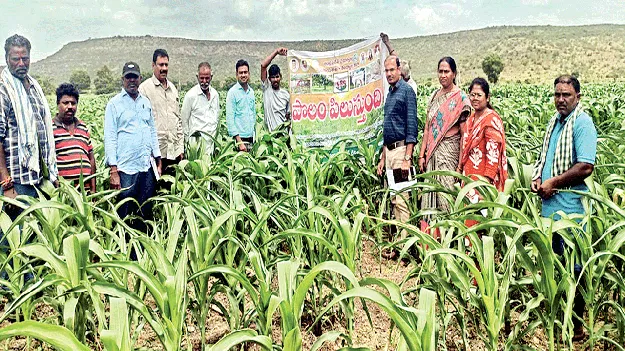 పంటలను కాపాడుకోవాలి