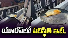 నెదర్లాండ్స్‌లో భగ్గుమంటున్న ఎండలు.. ఆరుబయటే ఆమ్లెట్ వేసిన యువకుడు.. 