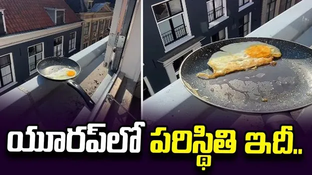 నెదర్లాండ్స్‌లో భగ్గుమంటున్న ఎండలు.. ఆరుబయటే ఆమ్లెట్ వేసిన యువకుడు.. 