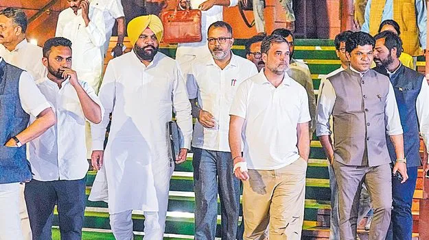 రాజ్యాంగంపై దాడిని తిప్పికొట్టాం