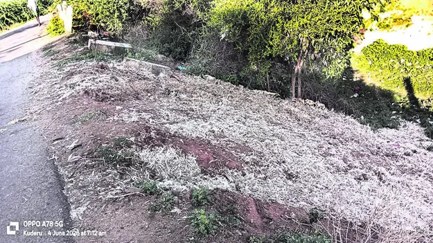 GARBAGE: దారిపక్కనే కోడి వ్యర్థాలు
