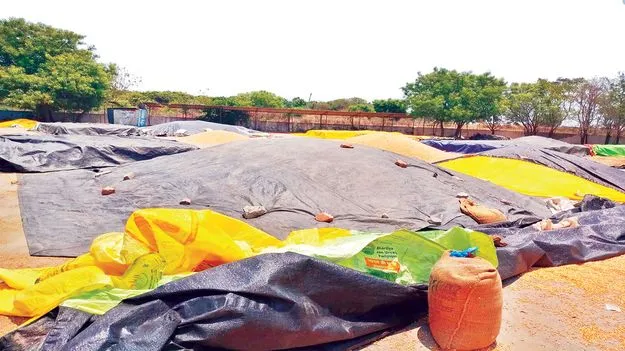 జడ్చర్ల మార్కెట్‌యార్డ్‌ ఫుల్‌!