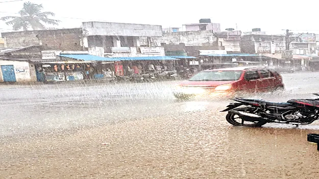 మన్యంలో భారీ వర్షం