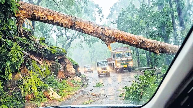 కుమ్మేసిన వాన