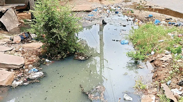 పడకేసిన పారిశుధ్యం 