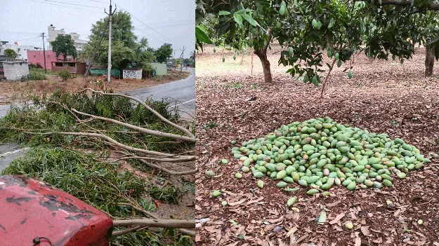 గాలి వాన బీభత్సం 