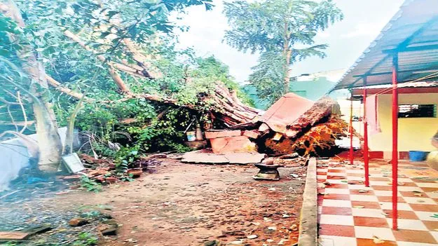నర్సీపట్నంలో ఈదురు గాలులతో వర్షం
