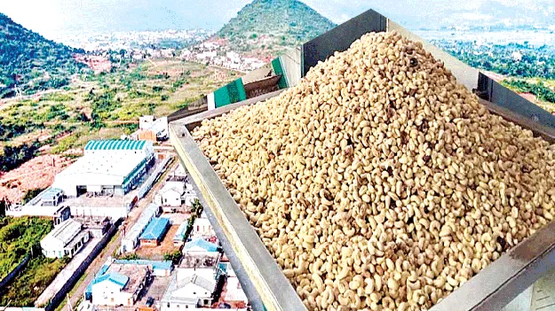 జీడి పరిశ్రమకు సంక్షోభం