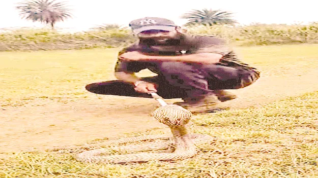 జనవాసాల్లో నాగుపాము కలకలం