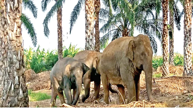 కదలవు.. వదలవు