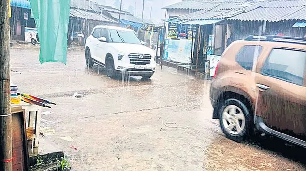 వదలని ముసురు 