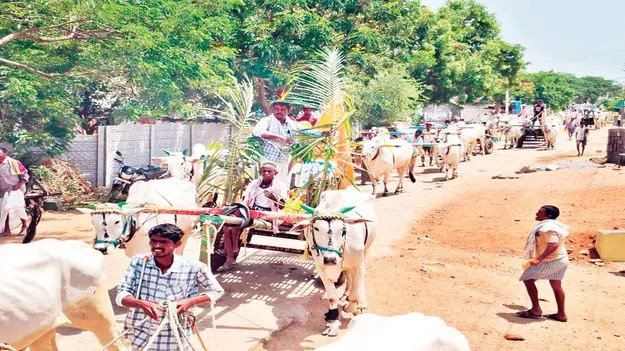 వర్షం కోసం పూజలు