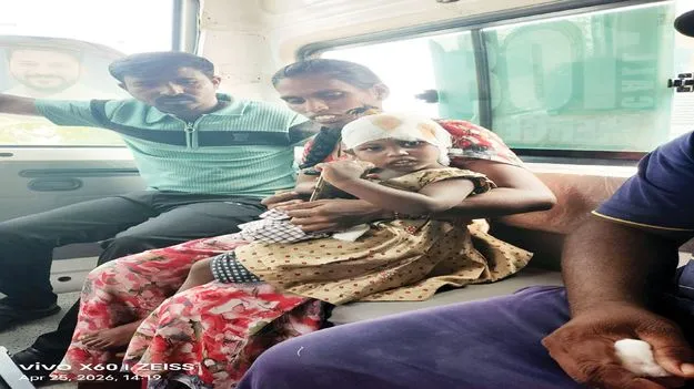  పిచ్చికుక్కల దాడిలో 8మందికి గాయాలు