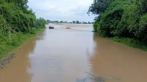 kumaram bheem asifabad- ఉప్పొంగిన పెన్‌ గంగ 