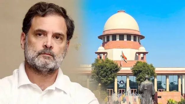రాహుల్‌పై విచారణను నిలిపివేయండి