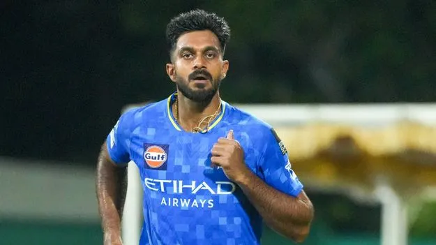‘3డీ’ విజయ్‌ శంకర్‌ క్రికెట్‌కు గుడ్‌బై