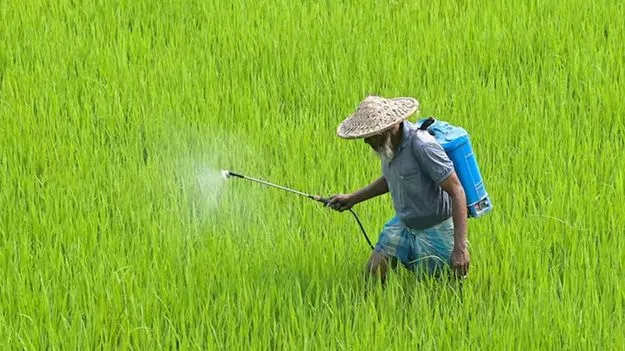 పారాక్వాట్‌పై నిషేధం!