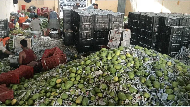 మామిడికి ఎగుమతుల కిక్కు 