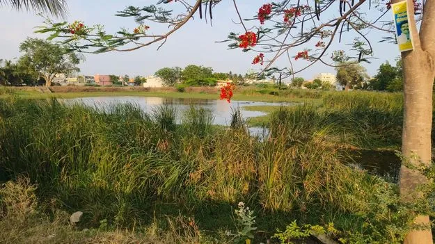 గలగలా పారేలా.. కాల్వలు  కళకళలాడేలా చెరువులు