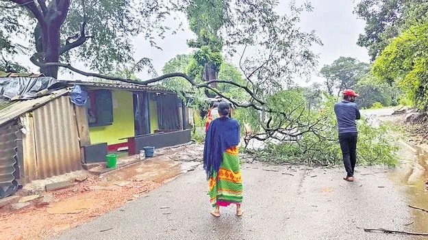 ఈదురుగాలుల బీభత్సం