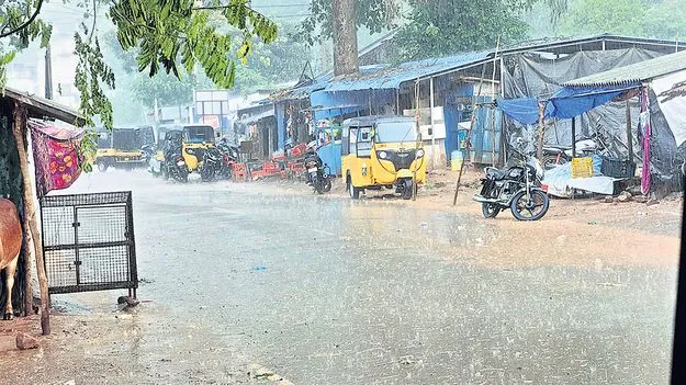  వదలని వాన 