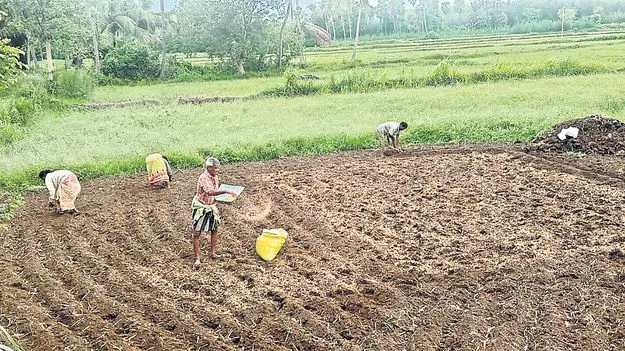 ఖరీఫ్‌ పనులు ఆరంభం