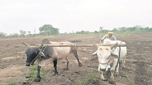 kumaram bheem asifabad- కాడేద్దులు కనుమరుగు 