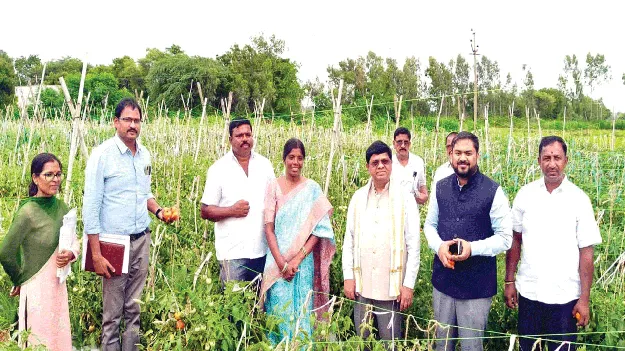 ప్రత్యామ్నాయ పంటలు మేలు