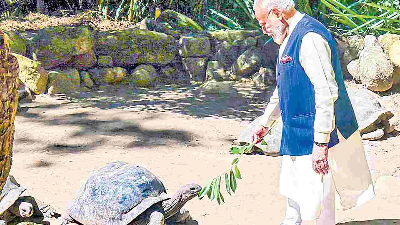 సీషెల్స్‌లో ప్రధాని మోదీకి ఘన స్వాగతం
