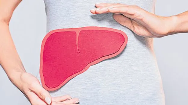 కాలేయం కులాసాగా...