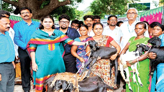 గిరిజనుల ఆర్థికాభివృద్ధికి కృషి