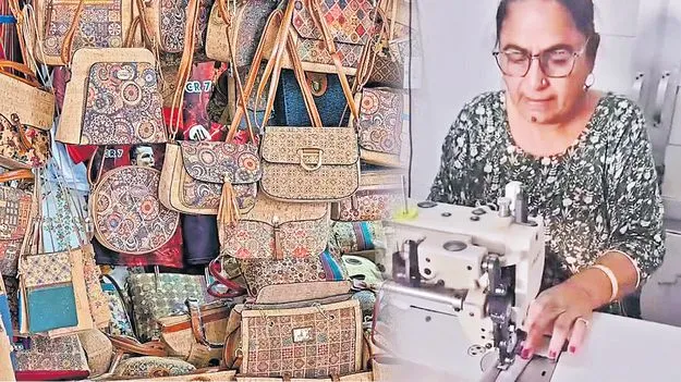 పట్టుదల నేర్పిన  పాఠం
