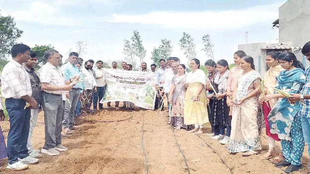 పశుగ్రాస ఉత్పత్తి అత్యంత కీలకం 