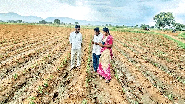 నకిలీ మందు పిచికారీతో నష్టపోయా