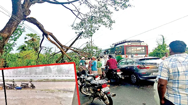 గాలీవాన బీభత్సం 