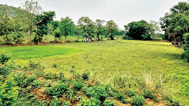 ఇక్కడో చెరువు ఉండేది