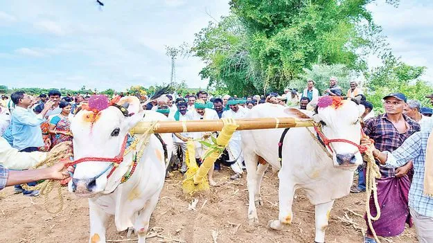 నాగలి పట్టి.. ట్రాక్టర్‌ నడిపి..