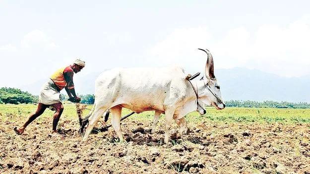కదలని దస్త్రం