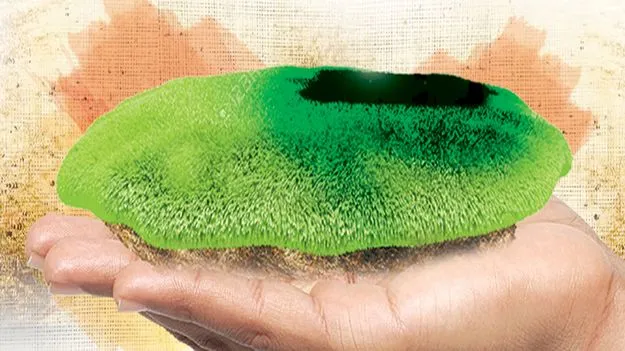 ఆ భూములు ఫ్రీ హోల్డ్‌